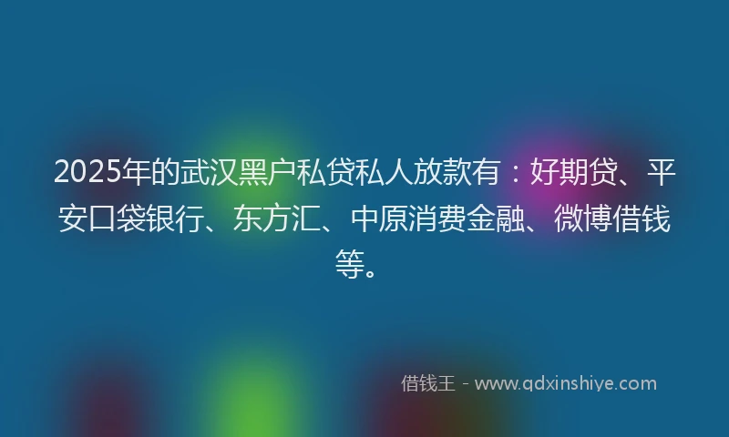 2025年的武汉黑户私贷私人放款有：好期贷、平安口袋银行、东方汇、中原消费金融、微博借钱等。