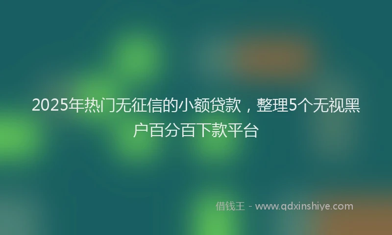 2025年热门无征信的小额贷款，整理5个无视黑户百分百下款平台