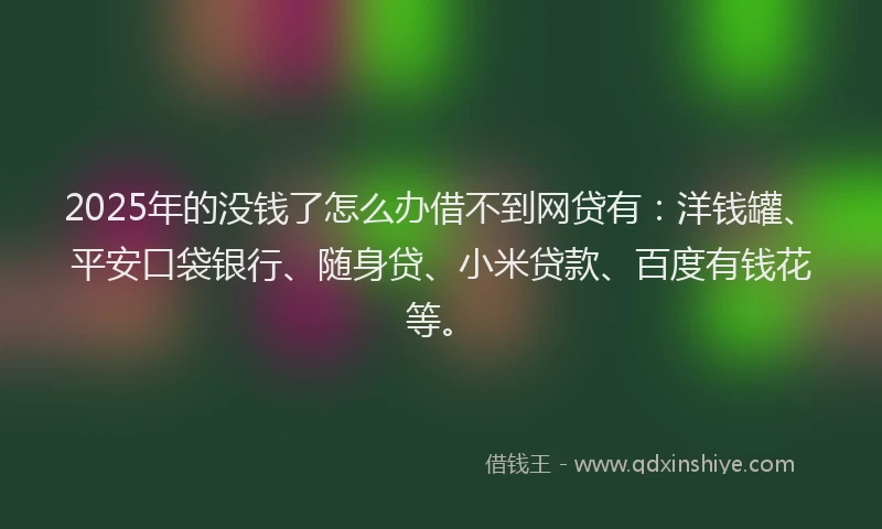 2025年的没钱了怎么办借不到网贷有：洋钱罐、平安口袋银行、随身贷、小米贷款、百度有钱花等。