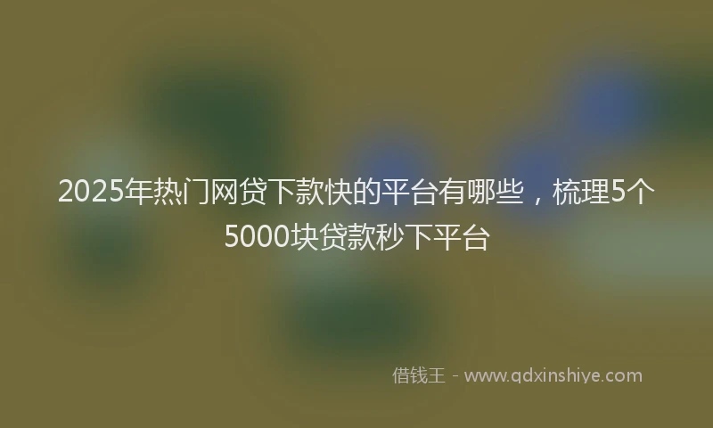 2025年热门网贷下款快的平台有哪些，梳理5个5000块贷款秒下平台