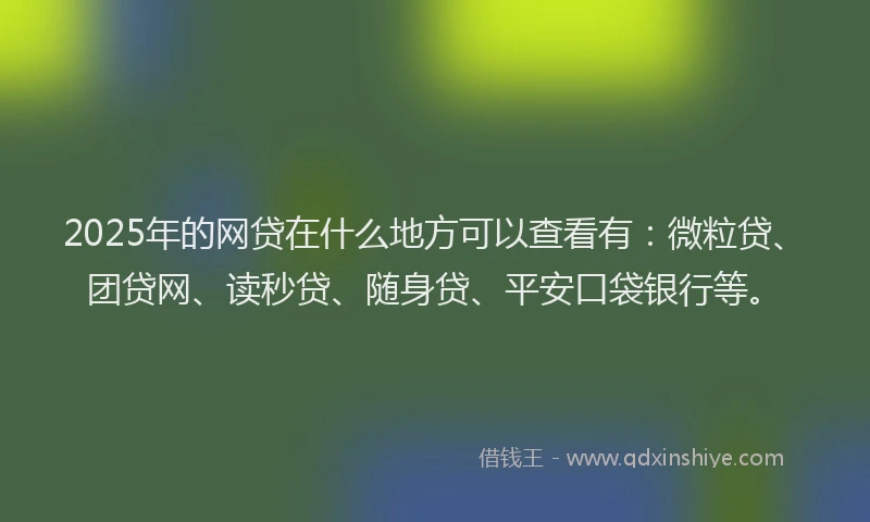 2025年的网贷在什么地方可以查看有：微粒贷、团贷网、读秒贷、随身贷、平安口袋银行等。