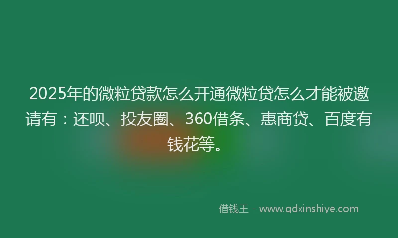 2025年的微粒贷款怎么开通微粒贷怎么才能被邀请有：还呗、投友圈、360借条、惠商贷、百度有钱花等。