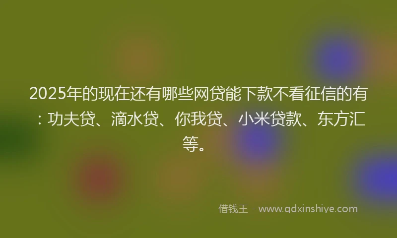 2025年的现在还有哪些网贷能下款不看征信的有：功夫贷、滴水贷、你我贷、小米贷款、东方汇等。