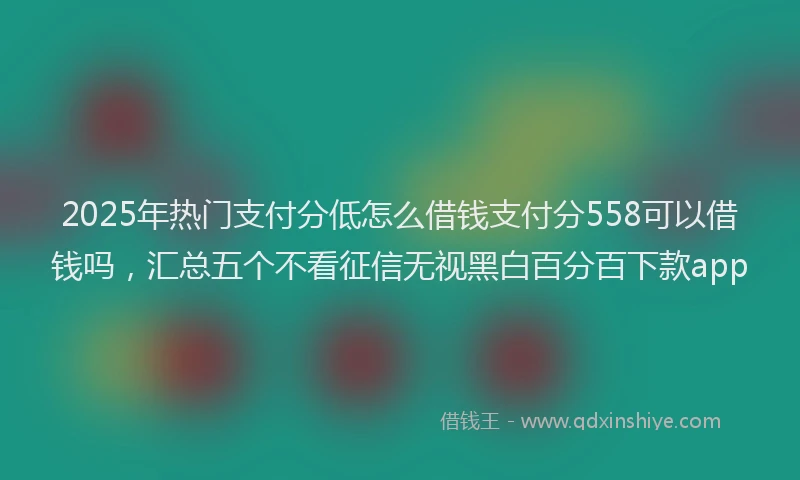 2025年热门支付分低怎么借钱支付分558可以借钱吗，汇总五个不看征信无视黑白百分百下款app