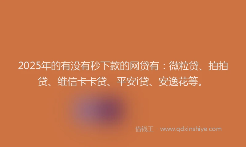 2025年的有没有秒下款的网贷有：微粒贷、拍拍贷、维信卡卡贷、平安i贷、安逸花等。