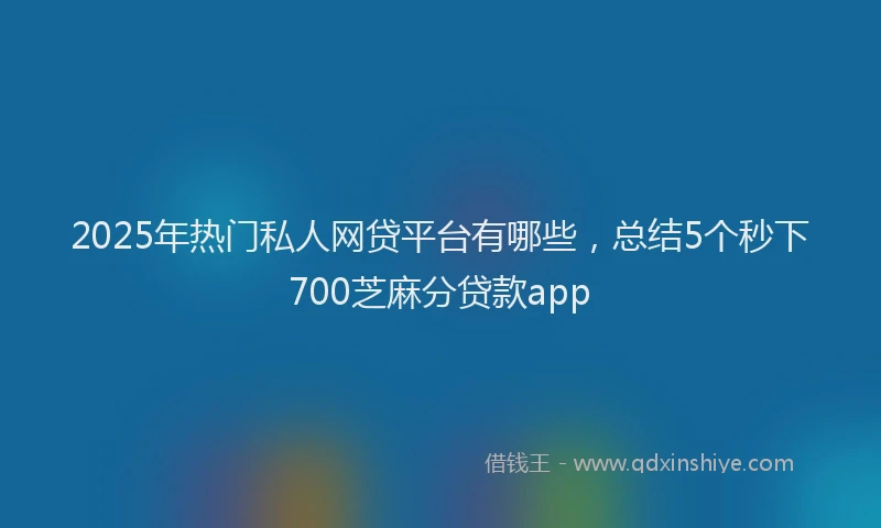 2025年热门私人网贷平台有哪些，总结5个秒下700芝麻分贷款app