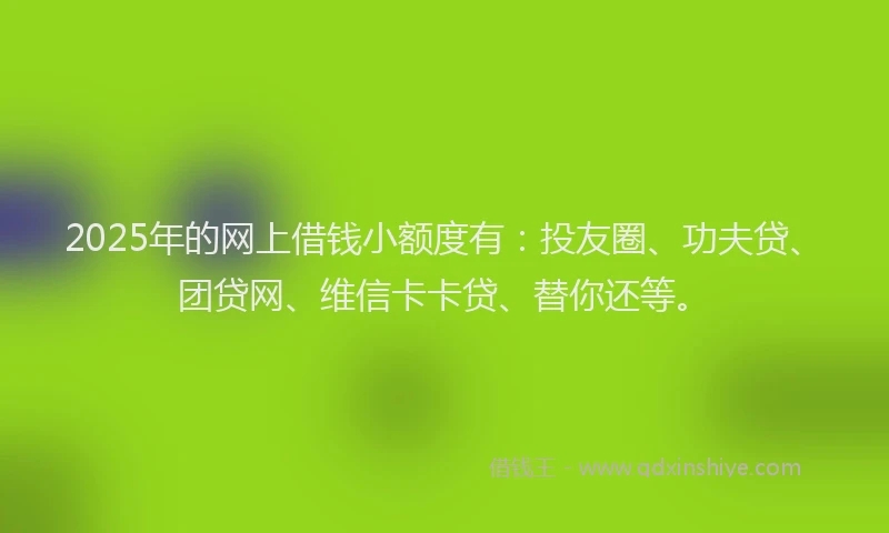 2025年的网上借钱小额度有：投友圈、功夫贷、团贷网、维信卡卡贷、替你还等。