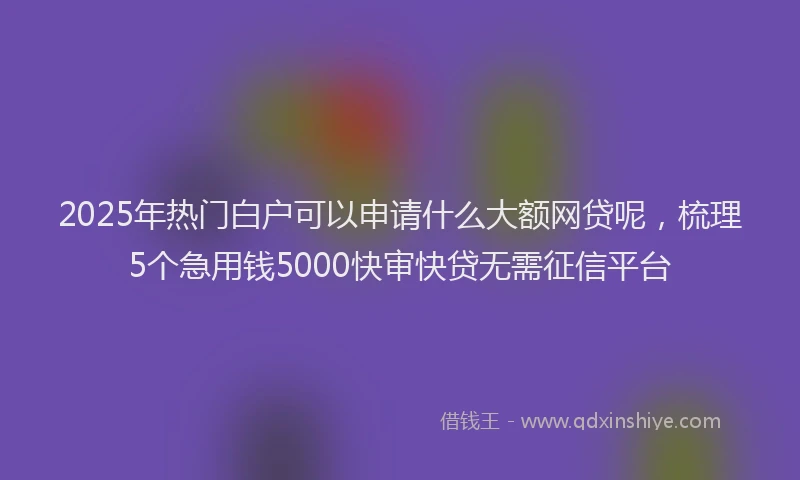2025年热门白户可以申请什么大额网贷呢，梳理5个急用钱5000快审快贷无需征信平台