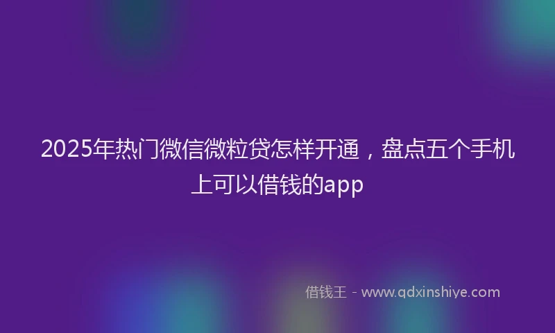 2025年热门微信微粒贷怎样开通，盘点五个手机上可以借钱的app