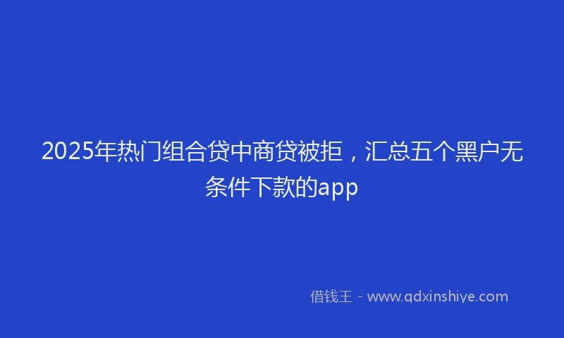 2025年热门组合贷中商贷被拒，汇总五个黑户无条件下款的app