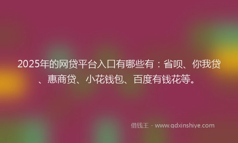 2025年的网贷平台入口有哪些有：省呗、你我贷、惠商贷、小花钱包、百度有钱花等。