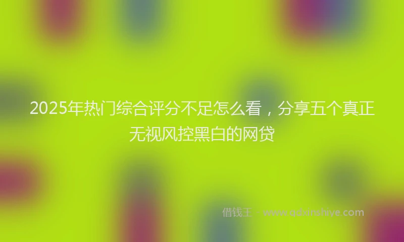 2025年热门综合评分不足怎么看，分享五个真正无视风控黑白的网贷