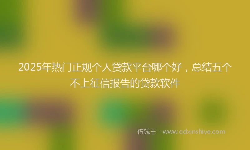 2025年热门正规个人贷款平台哪个好，总结五个不上征信报告的贷款软件