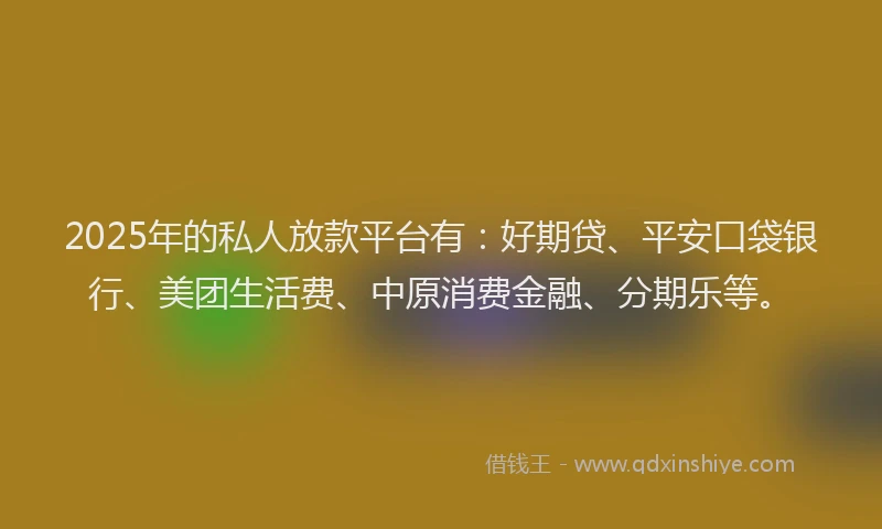 2025年的私人放款平台有：好期贷、平安口袋银行、美团生活费、中原消费金融、分期乐等。