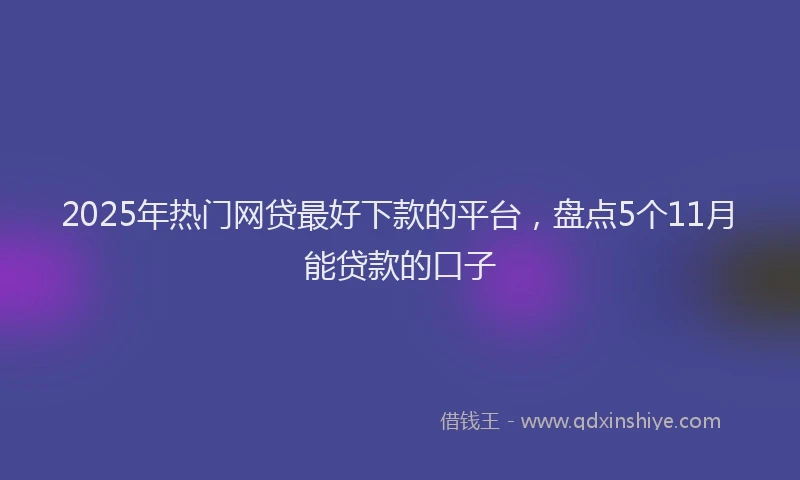2025年热门网贷最好下款的平台，盘点5个11月能贷款的口子