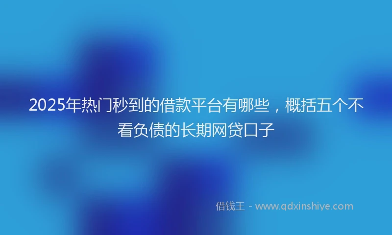 2025年热门秒到的借款平台有哪些，概括五个不看负债的长期网贷口子