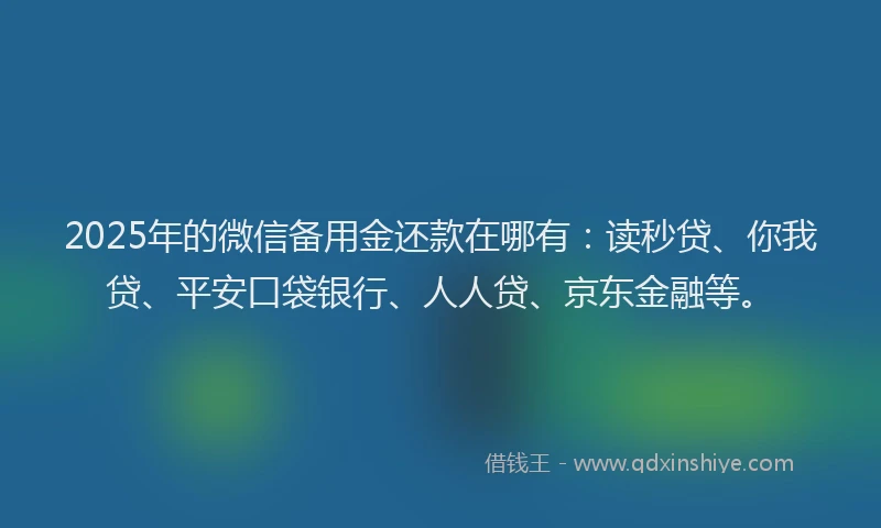 2025年的微信备用金还款在哪有：读秒贷、你我贷、平安口袋银行、人人贷、京东金融等。