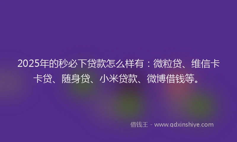 2025年的秒必下贷款怎么样有：微粒贷、维信卡卡贷、随身贷、小米贷款、微博借钱等。