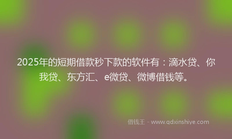 2025年的短期借款秒下款的软件有：滴水贷、你我贷、东方汇、e微贷、微博借钱等。
