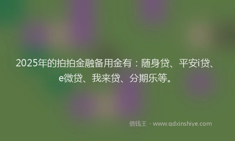 2025年的拍拍金融备用金有：随身贷、平安i贷、e微贷、我来贷、分期乐等。