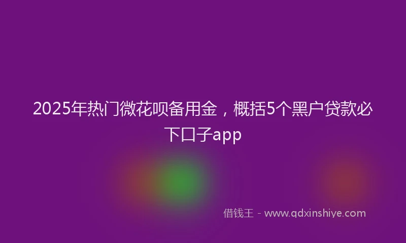 2025年热门微花呗备用金，概括5个黑户贷款必下口子app