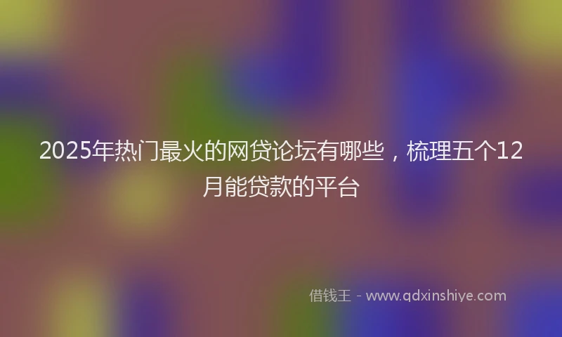 2025年热门最火的网贷论坛有哪些，梳理五个12月能贷款的平台