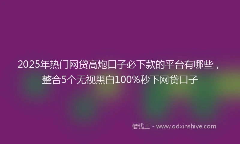 2025年热门网贷高炮口子必下款的平台有哪些，整合5个无视黑白100%秒下网贷口子