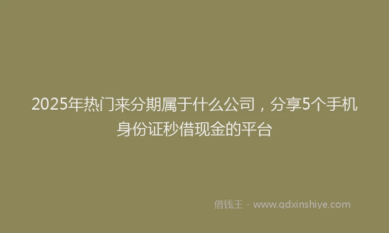 2025年热门来分期属于什么公司，分享5个手机身份证秒借现金的平台