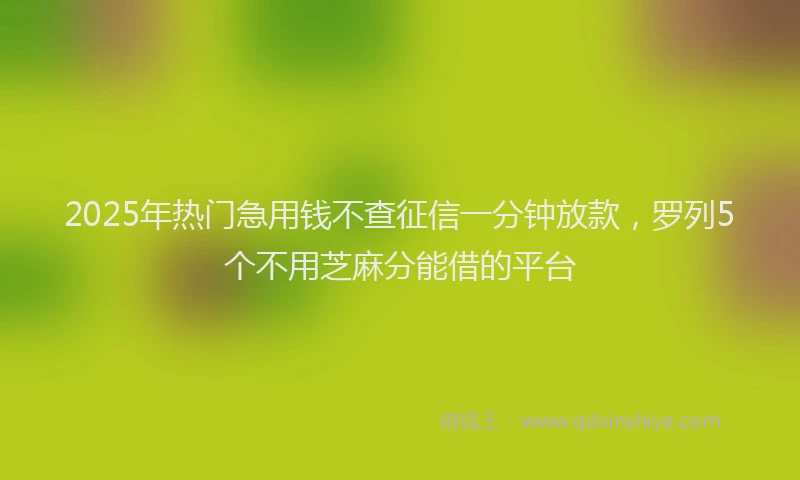 2025年热门急用钱不查征信一分钟放款，罗列5个不用芝麻分能借的平台