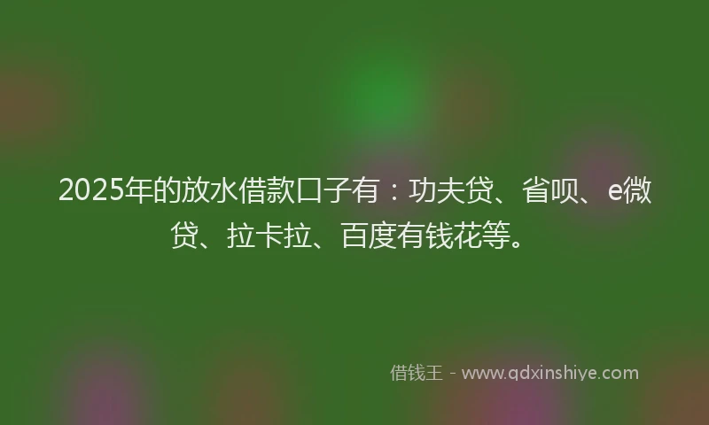 2025年的放水借款口子有：功夫贷、省呗、e微贷、拉卡拉、百度有钱花等。