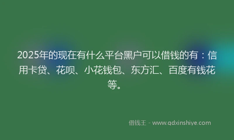 2025年的现在有什么平台黑户可以借钱的有：信用卡贷、花呗、小花钱包、东方汇、百度有钱花等。