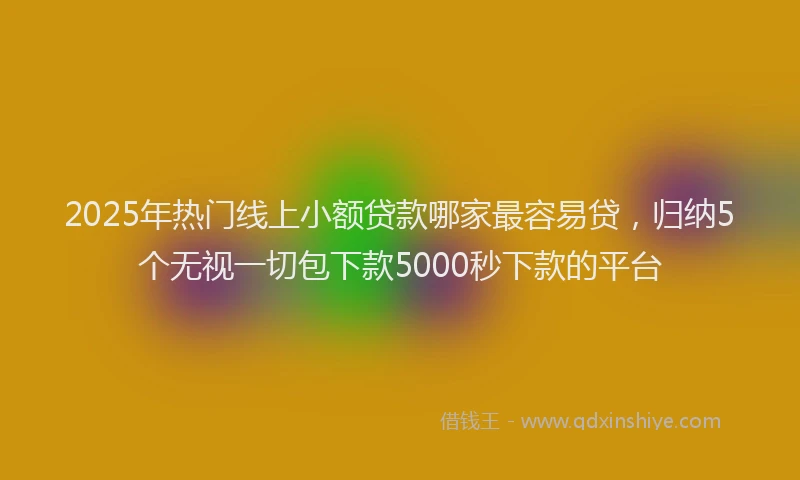 2025年热门线上小额贷款哪家最容易贷，归纳5个无视一切包下款5000秒下款的平台