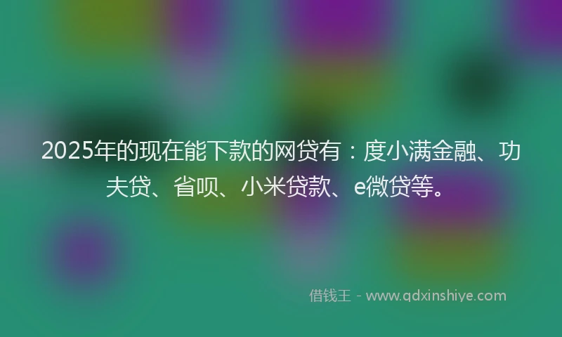 2025年的现在能下款的网贷有：度小满金融、功夫贷、省呗、小米贷款、e微贷等。
