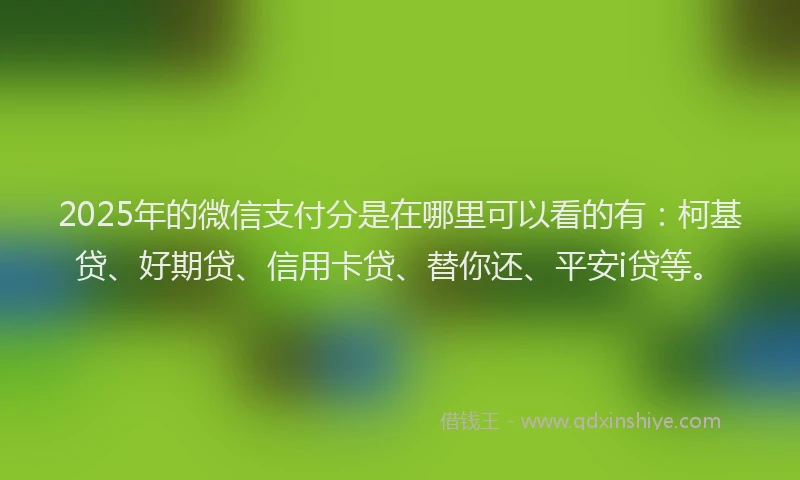 2025年的微信支付分是在哪里可以看的有：柯基贷、好期贷、信用卡贷、替你还、平安i贷等。