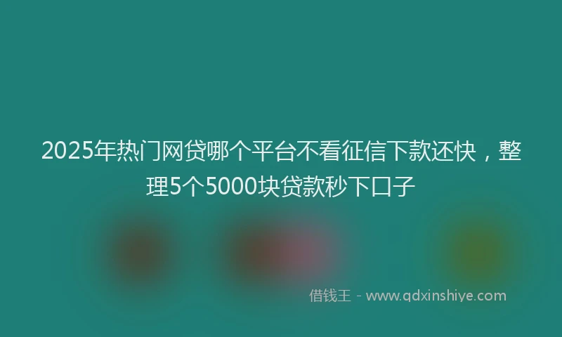 2025年热门网贷哪个平台不看征信下款还快，整理5个5000块贷款秒下口子