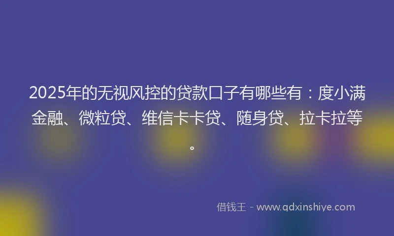 2025年的无视风控的贷款口子有哪些有：度小满金融、微粒贷、维信卡卡贷、随身贷、拉卡拉等。