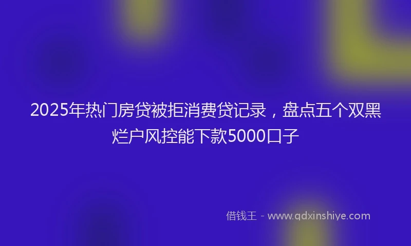 2025年热门房贷被拒消费贷记录，盘点五个双黑烂户风控能下款5000口子