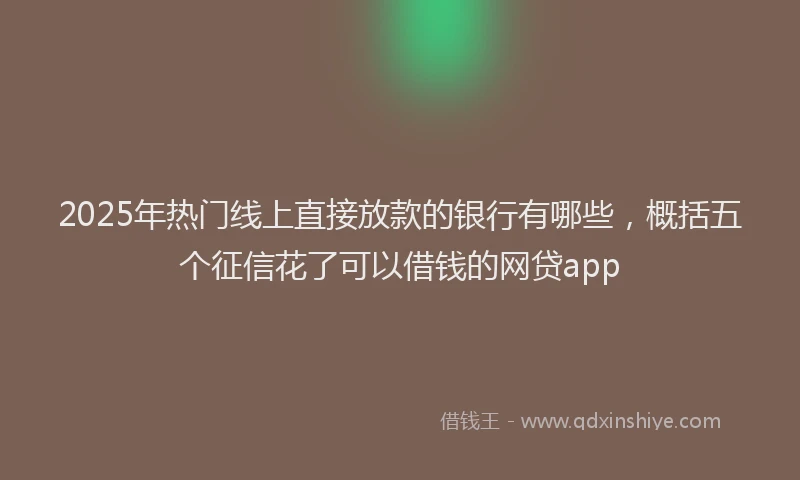 2025年热门线上直接放款的银行有哪些，概括五个征信花了可以借钱的网贷app