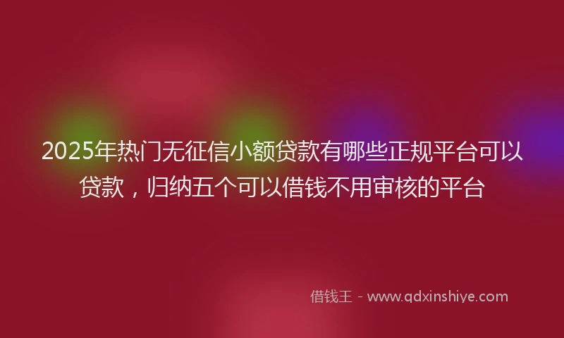 2025年热门无征信小额贷款有哪些正规平台可以贷款，归纳五个可以借钱不用审核的平台