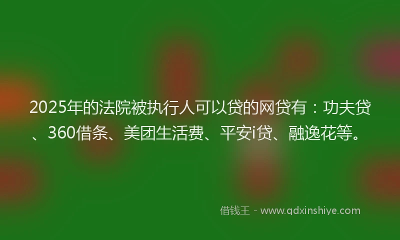 2025年的法院被执行人可以贷的网贷有：功夫贷、360借条、美团生活费、平安i贷、融逸花等。