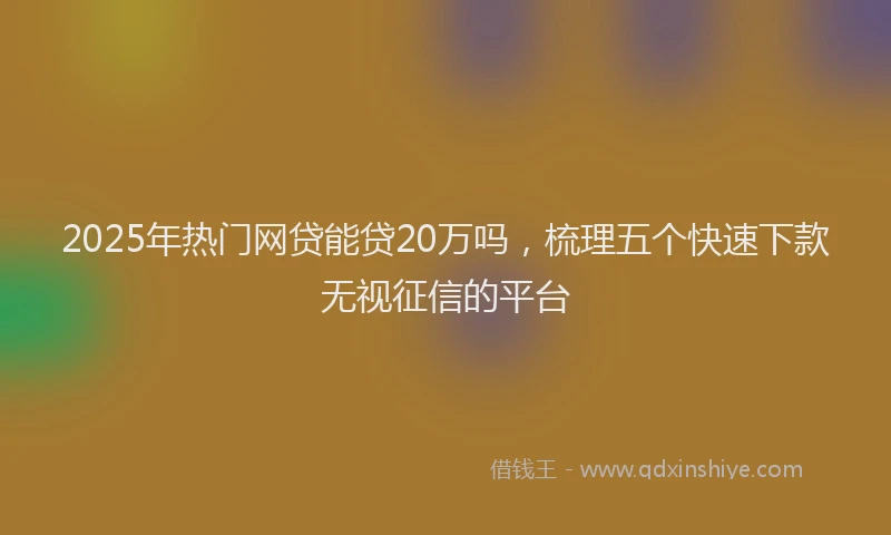 2025年热门网贷能贷20万吗，梳理五个快速下款无视征信的平台