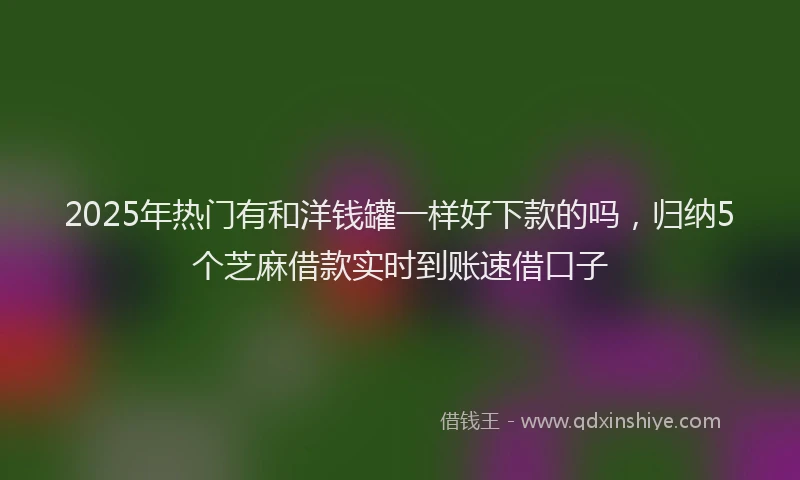 2025年热门有和洋钱罐一样好下款的吗，归纳5个芝麻借款实时到账速借口子