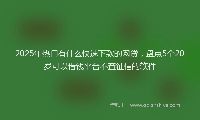 2025年热门有什么快速下款的网贷，盘点5个20岁可以借钱平台不查征信的软件