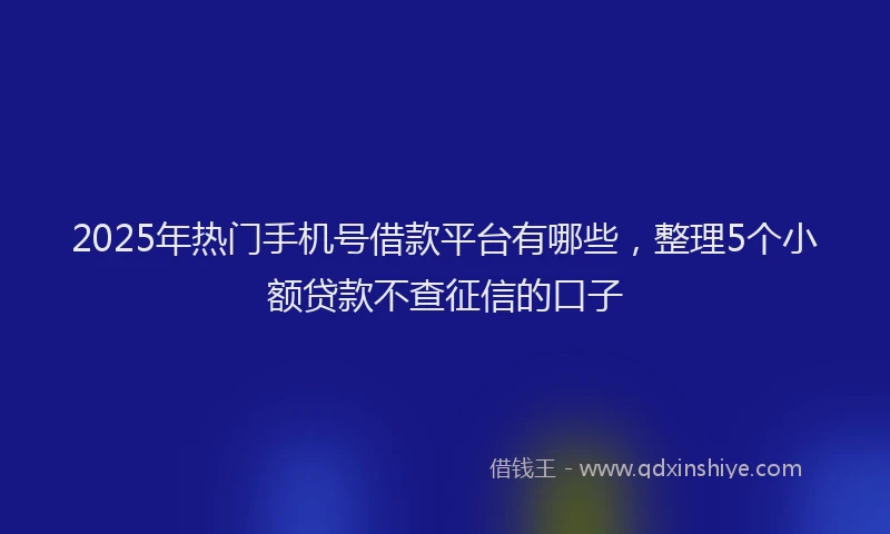 2025年热门手机号借款平台有哪些，整理5个小额贷款不查征信的口子