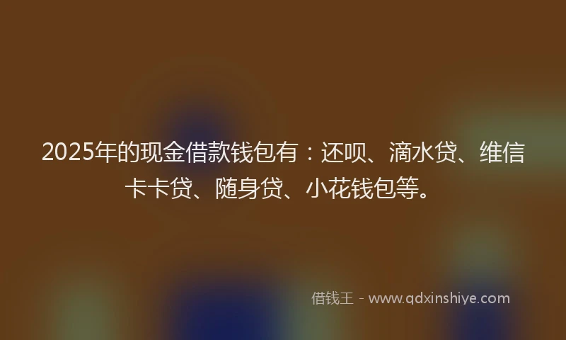 2025年的现金借款钱包有：还呗、滴水贷、维信卡卡贷、随身贷、小花钱包等。