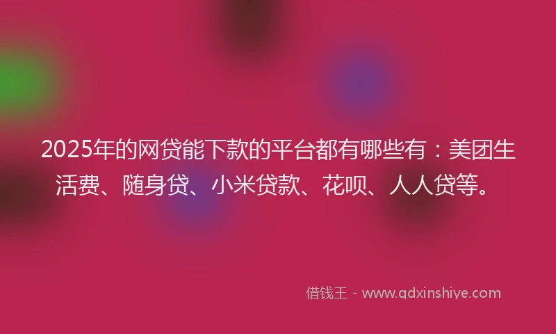 2025年的网贷能下款的平台都有哪些有：美团生活费、随身贷、小米贷款、花呗、人人贷等。