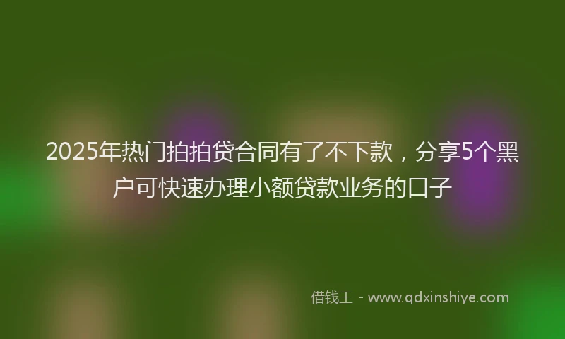 2025年热门拍拍贷合同有了不下款，分享5个黑户可快速办理小额贷款业务的口子