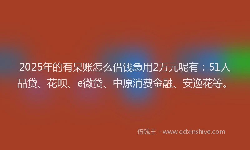 2025年的有呆账怎么借钱急用2万元呢有：51人品贷、花呗、e微贷、中原消费金融、安逸花等。
