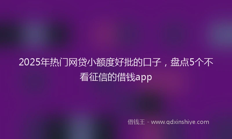 2025年热门网贷小额度好批的口子，盘点5个不看征信的借钱app