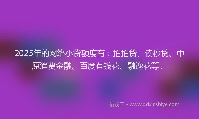 2025年的网络小贷额度有：拍拍贷、读秒贷、中原消费金融、百度有钱花、融逸花等。